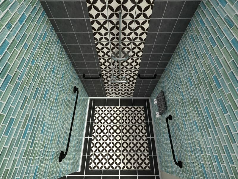 Accessible Bathroom 3D Photo Shower Grab Bars